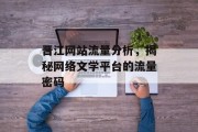 晋江网站流量分析，揭秘网络文学平台的流量密码