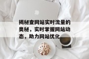 揭秘查网站实时流量的奥秘，实时掌握网站动态，助力网站优化