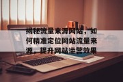 揭秘流量来源网站，如何精准定位网站流量来源，提升网站运营效果