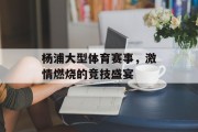 杨浦大型体育赛事，激情燃烧的竞技盛宴
