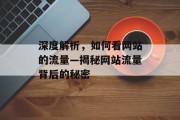 深度解析，如何看网站的流量—揭秘网站流量背后的秘密