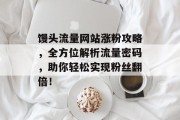 馒头流量网站涨粉攻略，全方位解析流量密码，助你轻松实现粉丝翻倍！