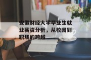 安徽财经大学毕业生就业薪资分析，从校园到职场的跨越