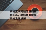 揭秘查询网站流量的神奇工具，助你精准把握网站发展脉搏