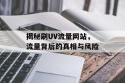 揭秘刷UV流量网站，流量背后的真相与风险