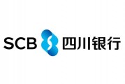 四川现代瑞宝的车辆状况如何？此状况对车辆的使用有何影响？