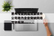 惠州专业网站流量提升公司助力企业突破网络营销瓶颈