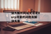 深入解析网站无法走Burp流量的问题及解决方案