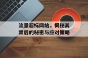 流量超标网站，揭秘其背后的秘密与应对策略