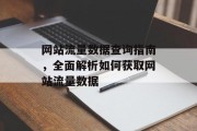 网站流量数据查询指南，全面解析如何获取网站流量数据