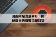 渭南网站流量攀升，揭秘渭南网络营销新趋势