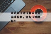 网站如何通过有效流量实现盈利，全方位策略解析