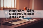 揭秘网络黑产，出售网站流量劫持，非法牟利手段令人咋舌