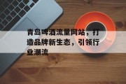 青岛啤酒流量网站，打造品牌新生态，引领行业潮流