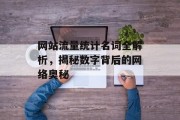 网站流量统计名词全解析，揭秘数字背后的网络奥秘