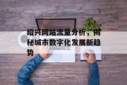 绍兴网站流量分析，揭秘城市数字化发展新趋势