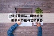 领流量网站，网络时代的新兴力量与营销利器
