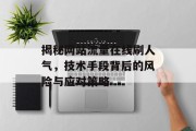 揭秘网站流量在线刷人气，技术手段背后的风险与应对策略