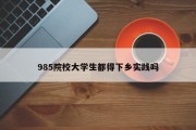 985院校大学生都得下乡实践吗