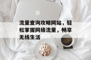 流量查询攻略网站，轻松掌握网络流量，畅享无线生活