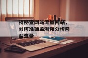 揭秘查网站流量网站，如何准确监测和分析网站流量