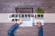 武汉三百分可以上哪些大学？