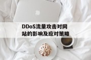 DDoS流量攻击对网站的影响及应对策略
