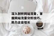 深入剖析网站流量，掌握网站流量分析技巧，助力企业增长