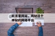 巨流量网站，揭秘这个神秘的网络平台