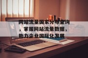 网站流量国家分布查询，掌握网站流量数据，助力企业国际化发展
