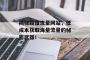 揭秘超值流量网站，低成本获取海量流量的秘密武器！