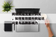 揭秘网站流量IP购买，如何有效提升网站访问量与品牌影响力