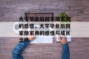 大学毕业后回家做家务的感悟，大学毕业后回家做家务的感悟与成长之旅