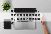 盐城网站流量代运营，助力企业提升网络曝光度，实现线上营销新突破