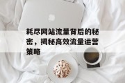 耗尽网站流量背后的秘密，揭秘高效流量运营策略