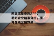 网站流量查询APP，助力企业精准分析，提升在线营销效果