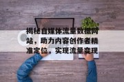 揭秘自媒体流量数据网站，助力内容创作者精准定位，实现流量变现