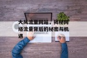 大风流量网站，揭秘网络流量背后的秘密与机遇