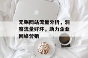 无锡网站流量分析，洞察流量好坏，助力企业网络营销