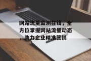 网站流量监测在线，全方位掌握网站流量动态，助力企业精准营销