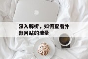 深入解析，如何查看外部网站的流量