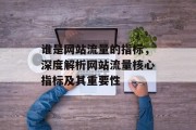 谁是网站流量的指标，深度解析网站流量核心指标及其重要性