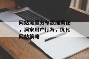 网站流量分布数据揭秘，洞察用户行为，优化网站策略