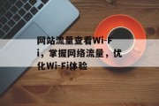 网站流量查看Wi-Fi，掌握网络流量，优化Wi-Fi体验