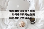 揭秘国外流量增长策略，如何让你的网站在国际化舞台上大放异彩