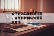 如何有效监测网站流量，全面解析网站流量监测方法
