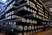 立恒盘螺钢号的数量是多少？这些钢号的分类依据是什么？