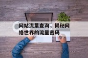 网站流量查询，揭秘网络世界的流量密码