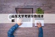 山东大学考研分数线详解