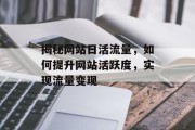 揭秘网站日活流量，如何提升网站活跃度，实现流量变现